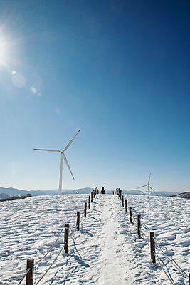 포토 JPG 주간 계절 겨울 사람없음 야외 파란색 설원 흰색 눈 풍력에너지 강원도 강릉 대관령 겨울풍경 국내포토 자연요소 컬러 날씨 한국 눈_날씨 풍경 그린에너지 파일형식