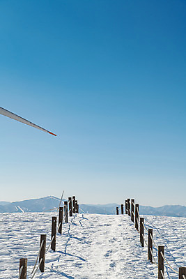 포토 JPG 주간 계절 겨울 사람없음 야외 파란색 설원 흰색 눈 강원도 강릉 대관령 겨울풍경 국내포토 자연요소 컬러 날씨 한국 눈_날씨 풍경 파일형식