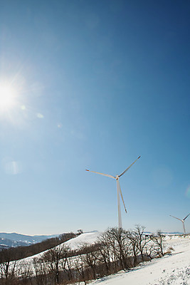 포토 JPG 주간 계절 겨울 사람없음 야외 파란색 설원 흰색 눈 풍력에너지 강원도 강릉 대관령 겨울풍경 국내포토 자연요소 컬러 날씨 한국 눈_날씨 풍경 그린에너지 파일형식