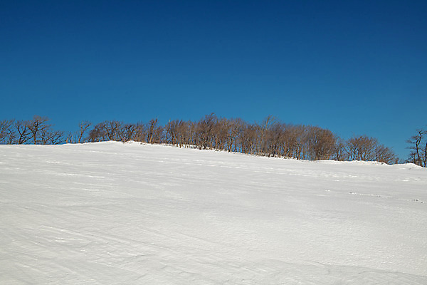 포토 JPG 주간 계절 겨울 사람없음 야외 파란색 설원 흰색 눈 강원도 강릉 대관령 겨울풍경 국내포토 자연요소 컬러 날씨 한국 눈_날씨 풍경 파일형식