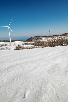 포토 JPG 주간 계절 겨울 사람없음 야외 파란색 설원 흰색 눈 풍력에너지 강원도 강릉 대관령 겨울풍경 국내포토 자연요소 컬러 날씨 한국 눈_날씨 풍경 그린에너지 파일형식