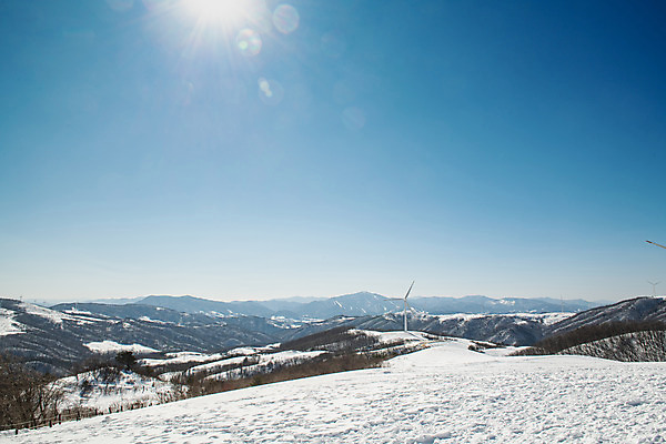 포토 JPG 주간 계절 겨울 사람없음 야외 파란색 설원 흰색 눈 강원도 강릉 대관령 겨울풍경 국내포토 자연요소 컬러 날씨 한국 눈_날씨 풍경 파일형식