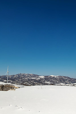 포토 JPG 주간 계절 겨울 산 사람없음 야외 파란색 설원 흰색 눈 강원도 강릉 대관령 겨울풍경 국내포토 자연요소 컬러 날씨 한국 눈_날씨 풍경 파일형식