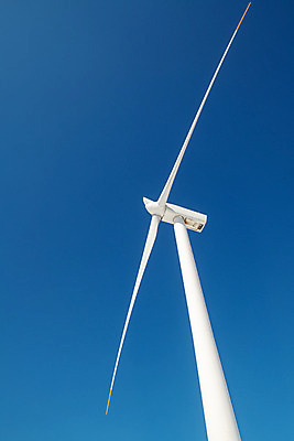 포토 JPG 주간 계절 로우앵글 겨울 사람없음 야외 파란색 설원 흰색 눈 풍력에너지 강원도 강릉 대관령 겨울풍경 국내포토 자연요소 뷰포인트 컬러 날씨 한국 눈_날씨 풍경 그린에너지 파일형식