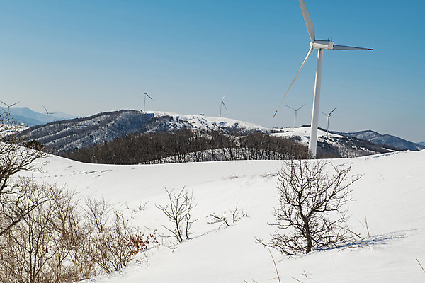 포토 JPG 주간 계절 겨울 사람없음 야외 파란색 설원 흰색 눈 풍력에너지 강원도 강릉 대관령 겨울풍경 국내포토 자연요소 컬러 날씨 한국 눈_날씨 풍경 그린에너지 파일형식