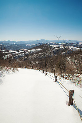 포토 JPG 주간 계절 겨울 사람없음 야외 파란색 설원 산책로 흰색 눈 강원도 강릉 대관령 겨울풍경 국내포토 자연요소 길 컬러 날씨 한국 눈_날씨 풍경 파일형식