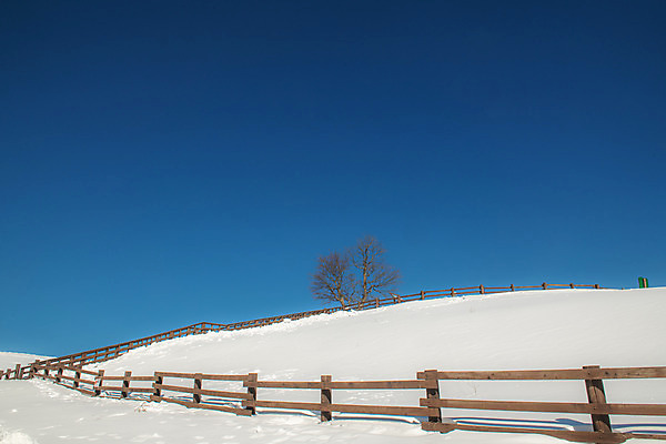 포토 JPG 주간 계절 겨울 사람없음 야외 파란색 설원 흰색 눈 언덕 강원도 강릉 대관령 겨울풍경 국내포토 자연요소 컬러 날씨 한국 눈_날씨 풍경 파일형식