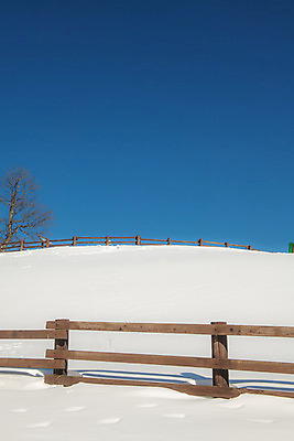 포토 JPG 주간 계절 겨울 사람없음 야외 파란색 설원 흰색 눈 언덕 강원도 강릉 대관령 겨울풍경 국내포토 자연요소 컬러 날씨 한국 눈_날씨 풍경 파일형식