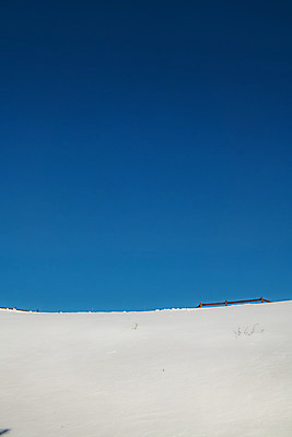 포토 JPG 주간 계절 겨울 사람없음 야외 파란색 설원 흰색 눈 강원도 강릉 대관령 겨울풍경 국내포토 자연요소 컬러 날씨 한국 눈_날씨 풍경 파일형식