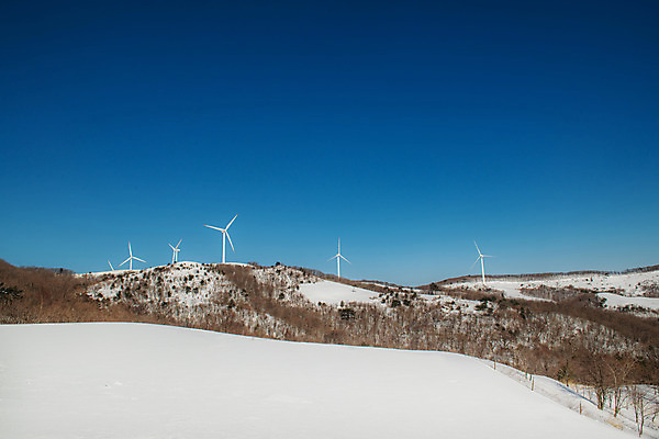 포토 JPG 주간 계절 겨울 산 사람없음 야외 파란색 설원 흰색 눈 풍력에너지 강원도 강릉 대관령 겨울풍경 국내포토 자연요소 컬러 날씨 한국 눈_날씨 풍경 그린에너지 파일형식