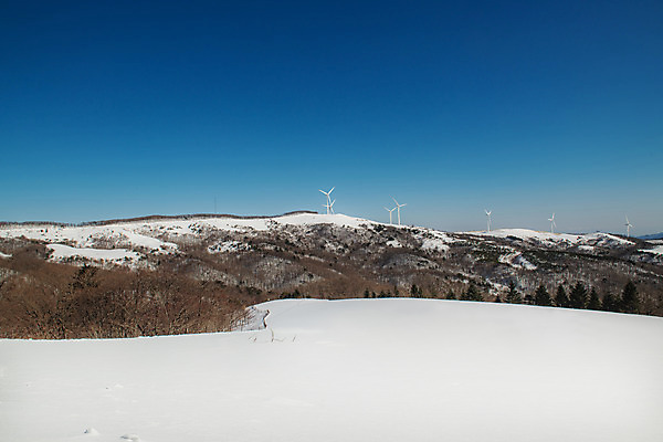 포토 JPG 주간 계절 겨울 산 사람없음 야외 파란색 설원 흰색 눈 풍력에너지 강원도 강릉 대관령 겨울풍경 국내포토 자연요소 컬러 날씨 한국 눈_날씨 풍경 그린에너지 파일형식