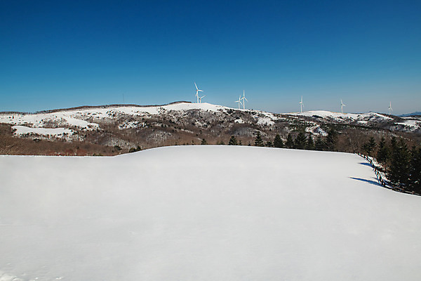 포토 JPG 주간 계절 겨울 산 사람없음 야외 파란색 설원 흰색 눈 풍력에너지 강원도 강릉 대관령 겨울풍경 국내포토 자연요소 컬러 날씨 한국 눈_날씨 풍경 그린에너지 파일형식