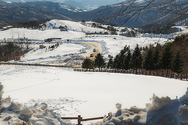 포토 JPG 주간 계절 겨울 사람없음 야외 설원 흰색 눈 강원도 강릉 대관령 겨울풍경 국내포토 자연요소 컬러 날씨 한국 눈_날씨 풍경 파일형식