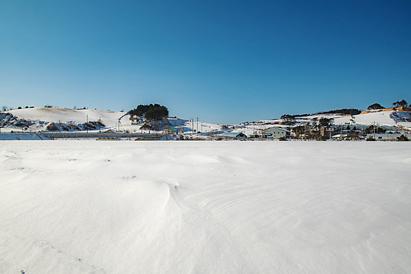 포토 JPG 주간 계절 겨울 사람없음 야외 파란색 설원 흰색 눈 강원도 강릉 대관령 겨울풍경 국내포토 자연요소 컬러 날씨 한국 눈_날씨 풍경 파일형식