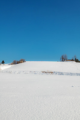 포토 JPG 주간 계절 겨울 사람없음 야외 파란색 설원 흰색 눈 강원도 강릉 대관령 겨울풍경 국내포토 자연요소 컬러 날씨 한국 눈_날씨 풍경 파일형식