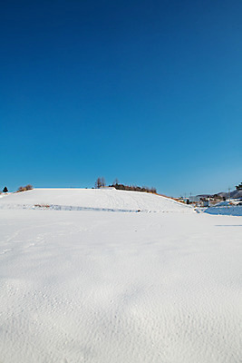 포토 JPG 주간 계절 겨울 사람없음 야외 파란색 설원 흰색 눈 강원도 강릉 대관령 겨울풍경 국내포토 자연요소 컬러 날씨 한국 눈_날씨 풍경 파일형식