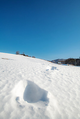 포토 JPG 주간 계절 겨울 근접촬영 사람없음 야외 파란색 설원 흰색 눈 강원도 강릉 대관령 겨울풍경 국내포토 자연요소 뷰포인트 컬러 날씨 한국 눈_날씨 풍경 파일형식
