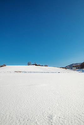 포토 JPG 주간 계절 겨울 사람없음 야외 파란색 설원 흰색 눈 강원도 강릉 대관령 겨울풍경 국내포토 자연요소 컬러 날씨 한국 눈_날씨 풍경 파일형식