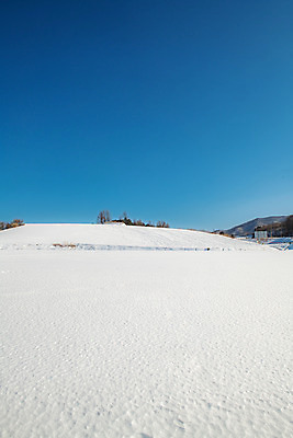 포토 JPG 주간 계절 겨울 사람없음 야외 파란색 설원 흰색 눈 강원도 강릉 대관령 겨울풍경 국내포토 자연요소 컬러 날씨 한국 눈_날씨 풍경 파일형식