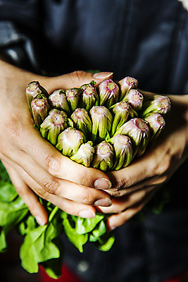 포토 JPG 주간 손 채소 들기 야외 신체부위 경상북도 특산물 시금치 포항 국내포토 자연요소 모션 사람 경상도 파일형식