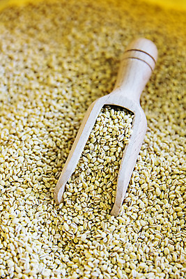 포토 JPG 식재료 곡류 사람없음 목재 농작물 갈색 낟알 전라북도 특산물 보리 군산 스쿱 찰보리 국내포토 나무 컬러 농업 재료 전라도 파일형식