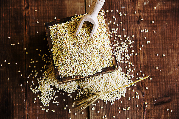 포토 JPG 그릇 식재료 곡류 사람없음 목재 농작물 갈색 벼 낟알 전라북도 특산물 보리 군산 스쿱 찰보리 나무배경 흩어짐 국내포토 나무 식기 컬러 백그라운드 컨셉 농업 재료 전라도 파일형식