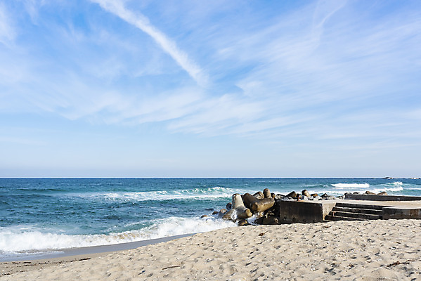 포토 JPG 주간 파도 바다 여행 겨울 자연 하늘 한국 풍경 해변 사람없음 야외 관광지 모래사장 계단 돌_바위 해수욕장 방파제 강원도 강릉 국내여행 국내포토 자연요소 계절 공공시설 아시아 생태계 파일형식