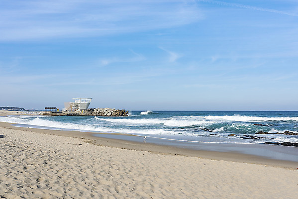 포토 JPG 주간 파도 바다 여행 겨울 자연 갈매기 조류 하늘 한국 풍경 해변 사람없음 야외 관광지 모래사장 조형물 해수욕장 방파제 강원도 강릉 국내여행 국내포토 자연요소 동물 계절 공공시설 아시아 미술 생태계 파일형식