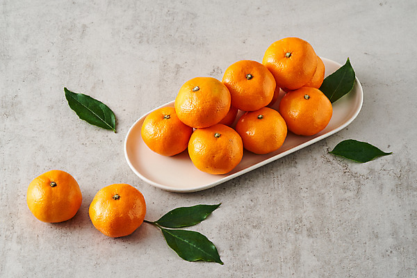 포토 JPG 스튜디오촬영 접시 음식 과일 식재료 회색배경 나뭇잎 디저트 귤 실내 사람없음 제철과일 국내포토 식기 백그라운드 잎 내부 회색 제철 파일형식