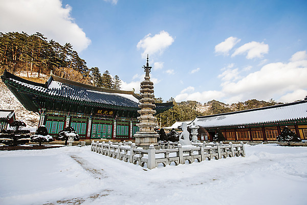 포토 JPG 주간 나무 하늘 사람없음 야외 눈 사찰 강원도 월정사 평창 팔각구층석탑 겨울풍경 국내포토 자연요소 식물 겨울 종교건축 날씨 한국 풍경 석탑 파일형식