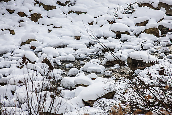 포토 JPG 주간 사람없음 야외 돌_바위 눈 강가 강원도 전나무 평창 겨울풍경 눈덮임 국내포토 자연요소 나무 컨셉 겨울 날씨 한국 풍경 강 파일형식