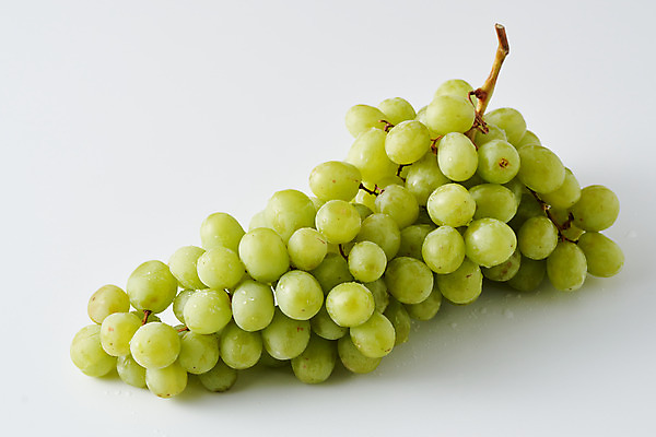포토 JPG 주간 스튜디오촬영 음식 과일 식재료 회색배경 실내 사람없음 청포도 제철 제철과일 국내포토 자연요소 백그라운드 포도 내부 회색 파일형식