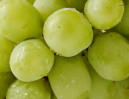 포토 JPG 주간 스튜디오촬영 음식 과일 식재료 실내 근접촬영 사람없음 청포도 제철 제철과일 국내포토 자연요소 뷰포인트 포도 내부 파일형식