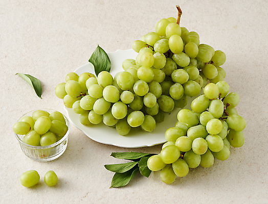 포토 JPG 주간 스튜디오촬영 음식 잎 과일 식재료 회색배경 실내 사람없음 청포도 유리그릇 포도알 제철 제철과일 국내포토 자연요소 식물 그릇 백그라운드 유리 포도 내부 회색 파일형식