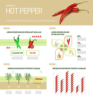 일러스트 고추 양파 그래프 마늘 사람없음 인포그래픽 매움 생강 국내일러스트 AI파일 채소 맛 파일형식 벡터