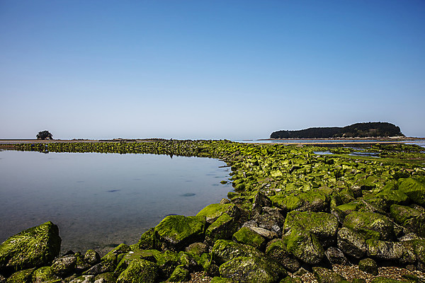 포토 JPG 주간 바다 섬 사람없음 야외 바위 충청남도 물이끼 서해 국내포토 자연요소 돌_바위 충청도 파일형식