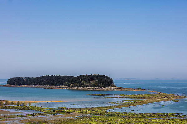 포토 JPG 주간 바다 섬 사람없음 야외 충청남도 갯벌 서해 국내포토 자연요소 충청도 파일형식