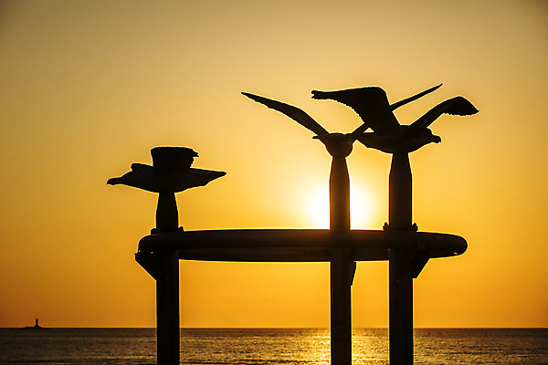 포토 JPG 주간 실루엣 바다 섬 갈매기 사람없음 야외 태양 조각상 일몰 충청남도 서해 국내포토 자연요소 조류 촬영기법 조형물 노을 충청도 파일형식