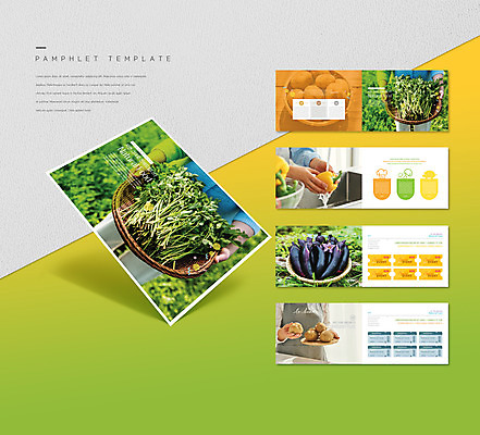 템플릿 손 여자 ZIP 리플렛 40대 중년 채소 가지 감자 파프리카 한명 팜플렛 신체부위 한국인 쿠폰 건강식품 미나리 쿠폰북 중년여자한명만 인디자인 INDD 이미지템플릿 1 음식 건강 사람 동양인 성인 여자한명만 중년여자만 파일형식