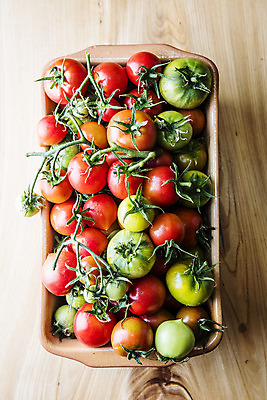 포토 JPG 주간 잎 토마토 실내 사람없음 농작물 하이앵글 바구니 담기 특산물 부산 과채 국내포토 자연요소 식물 뷰포인트 농업 채소 과일 모션 한국 내부 파일형식