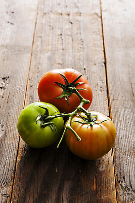 포토 JPG 주간 토마토 바닥 실내 근접촬영 사람없음 농작물 특산물 부산 과채 국내포토 자연요소 뷰포인트 농업 채소 과일 한국 내부 파일형식