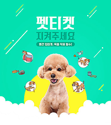 PSD 편집이미지 한마리 반려견 타이포그라피 사람없음 산책 푸들 목줄 민트색 반려 입마개 펫티켓 이미지편집 문자 1 컬러 휴식 반려동물 예절 개 파일형식 반려용품