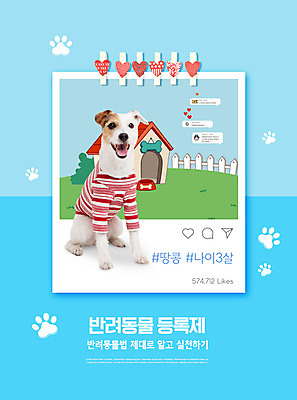 PSD 편집이미지 한마리 반려견 하늘색 타이포그라피 사람없음 하트 반려 애완동물등록제 펫티켓 파슨러셀테리어 이미지편집 모양 문자 1 파란색 반려동물 예절 개 테리어 제도 파일형식
