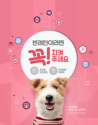 PSD 편집이미지 한마리 반려견 분홍색 타이포그라피 사람없음 광견병 반려 애완동물등록제 예방접종 펫티켓 와이어폭스테리어 이미지편집 문자 1 컬러 반려동물 예절 개 접종 제도 폭스테리어 파일형식