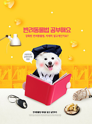 PSD 편집이미지 한마리 반려견 조명 타이포그라피 사람없음 책 노란색 법 목줄 개껌 반려 입마개 펫티켓 스피츠 이미지편집 문자 1 컬러 반려동물 예절 개 파일형식 반려용품