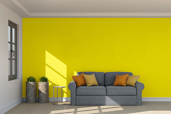 PSD 편집 편집이미지 화분 쿠션 사람없음 인테리어 소파 노란색 3D 회색 디지털합성 편집소스 2021년 트렌드컬러 얼티메이트그레이 일루미네이팅 편집3D 디자인 컬러 의자 연도 파일형식 트랜드컬러