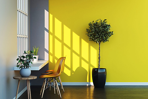 PSD 편집 편집이미지 화분 벽 의자 사람없음 인테리어 노란색 3D 회색 창가 디지털합성 편집소스 2021년 트렌드컬러 얼티메이트그레이 일루미네이팅 편집3D 디자인 컬러 가구 창문 연도 파일형식 트랜드컬러