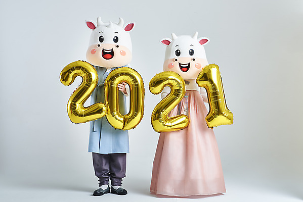 포토 JPG 스튜디오촬영 전신 여자 명절 남자 40대 중년 새해 실내 서기 들기 20대 성인 두명 앞모습 설날 한국인 소띠 소 한복 흰배경 풍선 소캐릭터 동물탈 인형탈 2021년 신축년 흰소 국내포토 한국전통 전통 기념일 뷰포인트 동물캐릭터 백그라운드 포유류 모션 사람 동양인 청년 내부 흰색 십이지신 전통의상 연도 탈 파일형식