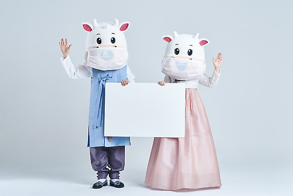 포토 JPG 스튜디오촬영 전신 배너 여자 명절 남자 40대 중년 새해 실내 마스크 서기 들기 20대 성인 두명 앞모습 설날 한국인 소띠 소 한복 흰배경 손인사 소캐릭터 동물탈 인형탈 2021년 신축년 흰소 국내포토 한국전통 전통 기념일 뷰포인트 동물캐릭터 백그라운드 포유류 모션 사람 동양인 청년 내부 흰색 십이지신 인사 전통의상 연도 탈 파일형식