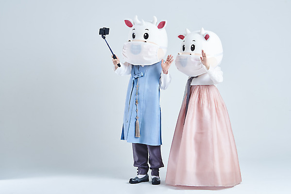 포토 JPG 스튜디오촬영 전신 여자 명절 남자 40대 중년 새해 실내 마스크 서기 들기 20대 성인 두명 앞모습 옆모습 설날 한국인 소띠 소 한복 흰배경 소캐릭터 동물탈 셀카봉 인형탈 2021년 신축년 흰소 국내포토 한국전통 전통 기념일 뷰포인트 동물캐릭터 백그라운드 포유류 모션 사람 동양인 청년 내부 흰색 십이지신 전통의상 연도 탈 파일형식